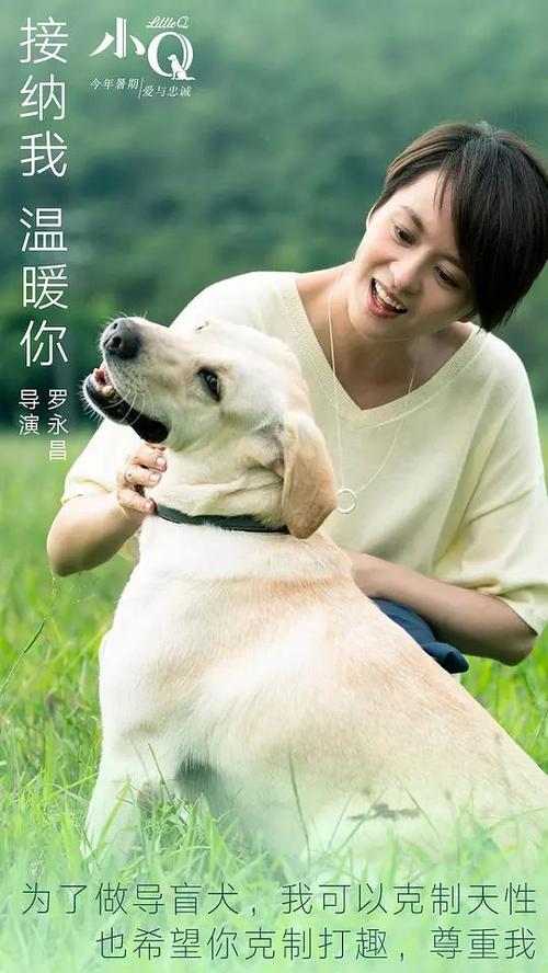 拉罗谢尔大学学位证